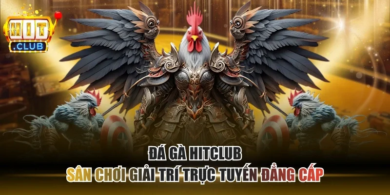 Đá Gà HITCLUB - Sân Chơi Giải Trí Trực Tuyến Đẳng Cấp